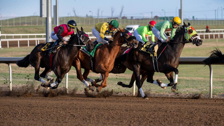 2026 Century Mile Handicap at a Glance